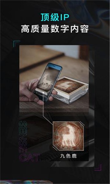 数字猫藏品截图