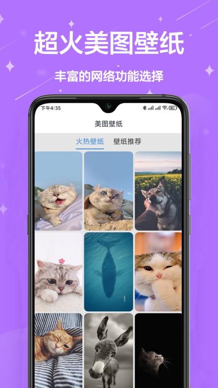 网络工具宝箱app 1.0.0 1