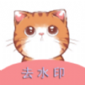 橘猫去水印2025