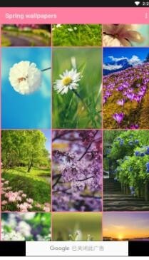 spring wallpapers最新版