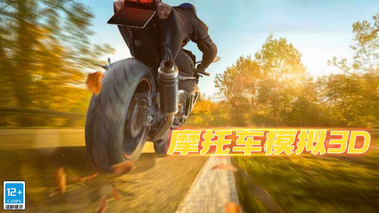 摩托车模拟3d最新版 1