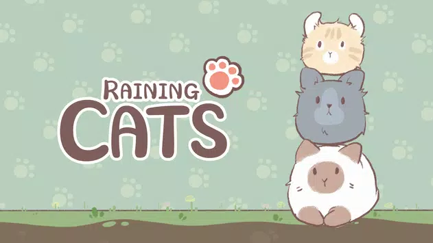 天降猫雨RainingCats截图