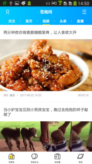 苍南网截图