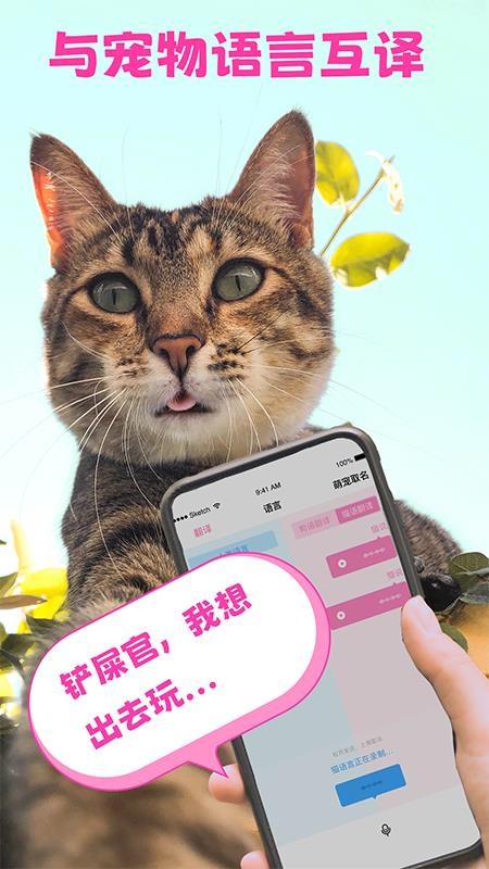 猫语狗语翻译器手机版 1