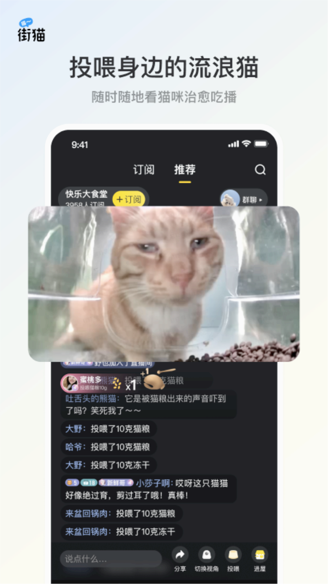 哈啰街猫网页版本截图