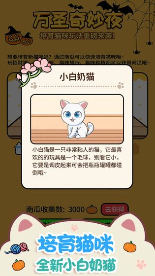 猫咪公寓 1