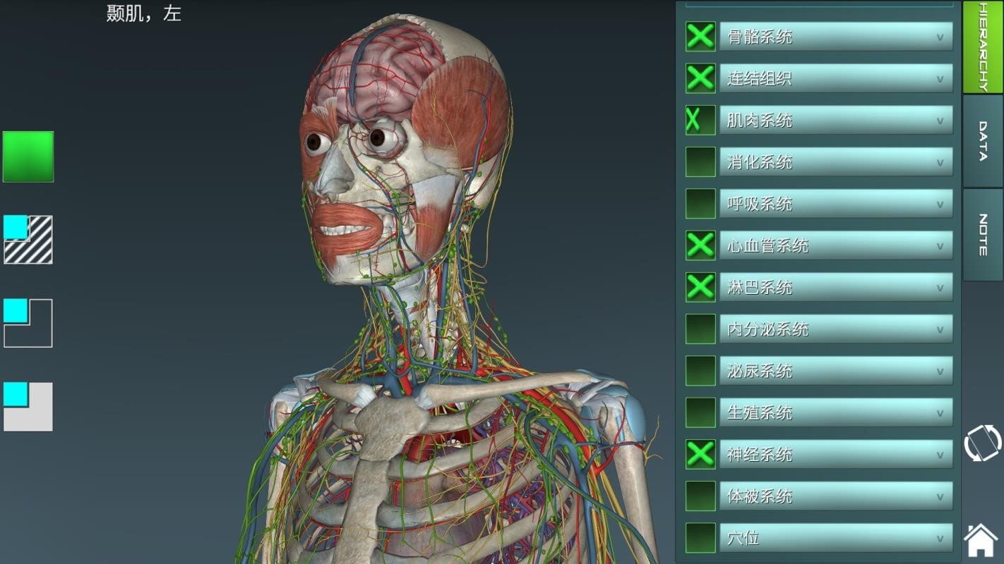 人体解剖学图集截图