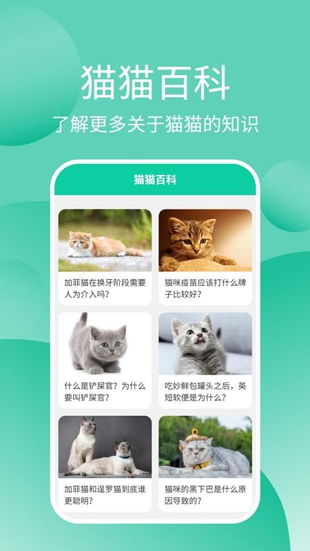 安卓猫猫交流工具app