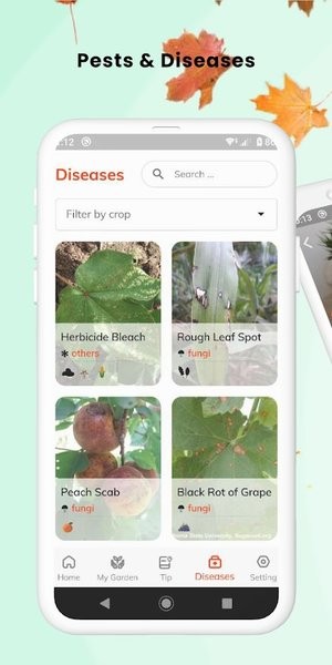 findplant手机版(拍照识别植物) 4