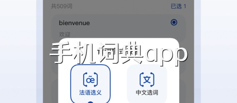 手机词典app