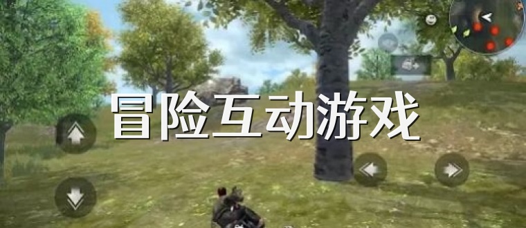 冒险互动游戏