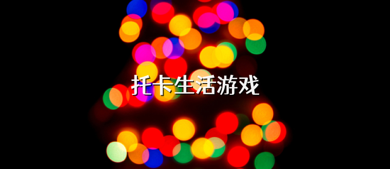 托卡生活游戏