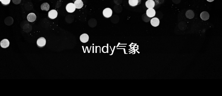 windy气象