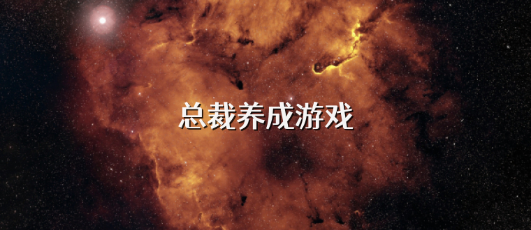 总裁养成游戏