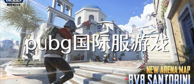 pubg国际服游戏