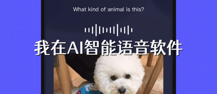 我在AI智能语音软件
