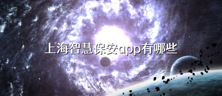 上海智慧保安app有哪些