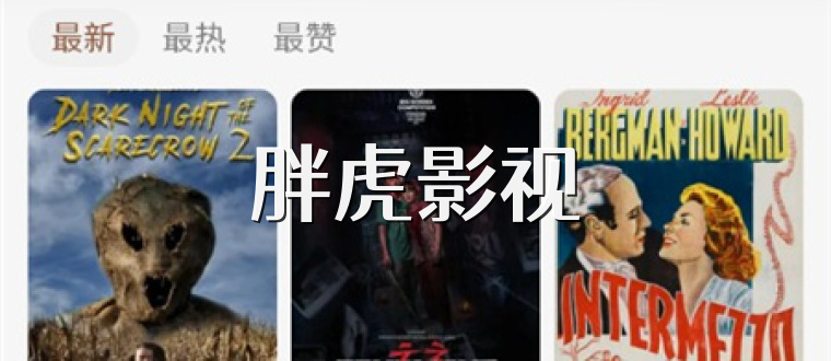 胖虎影视