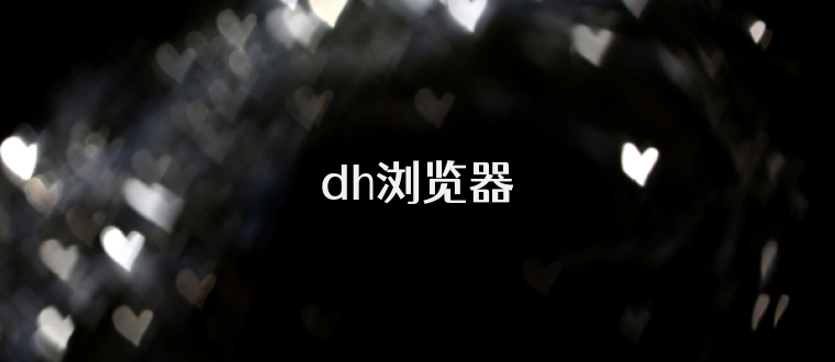 dh浏览器