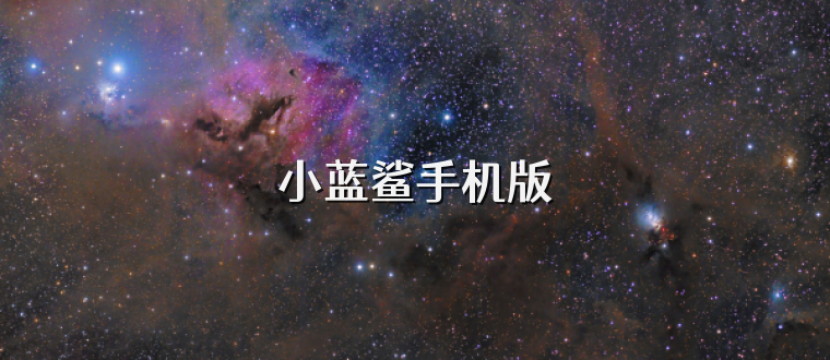 小蓝鲨手机版