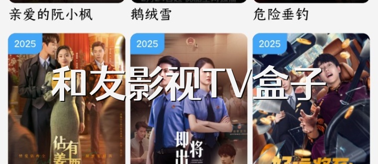 和友影视TV盒子