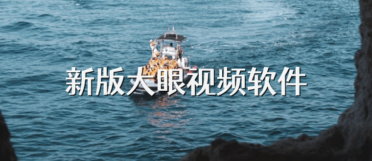 新版大眼视频软件