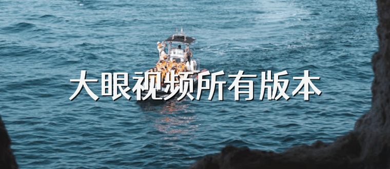 大眼视频所有版本