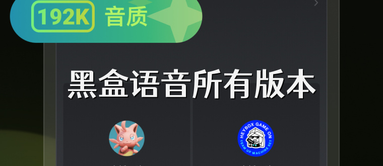 黑盒语音所有版本