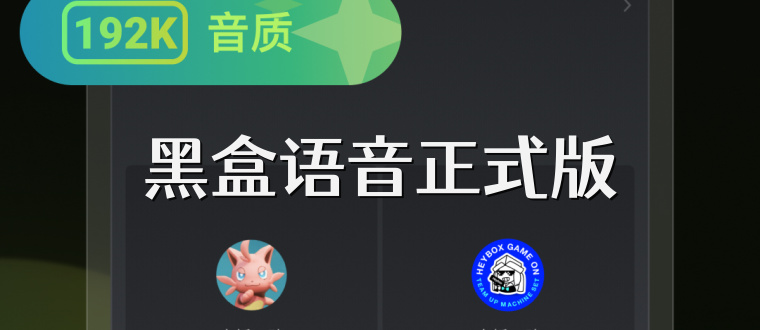 黑盒语音正式版