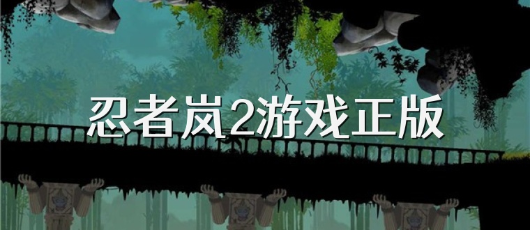 忍者岚2游戏正版