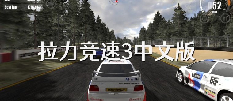 拉力竞速3中文版