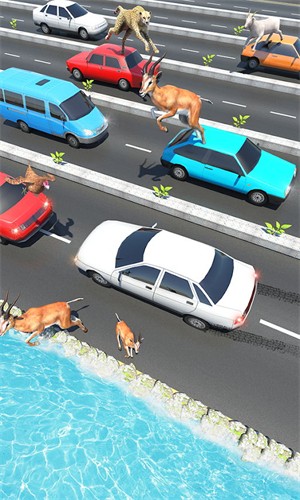 动物公路跳跃 1