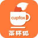 cupfox茶杯狐官方网页版