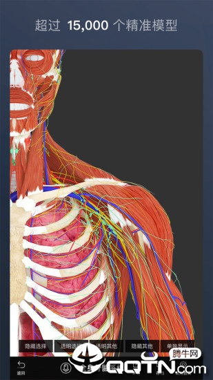 维萨里3D解剖app手机版截图