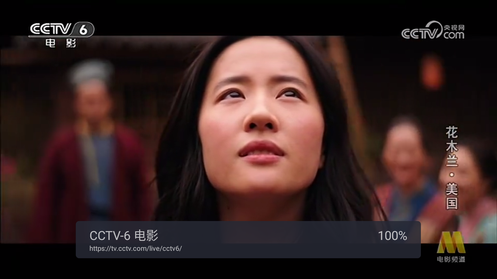 WebView电视截图