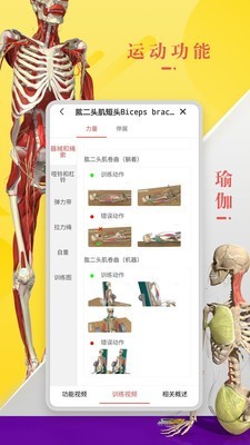 3d人体解剖学app 1