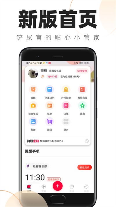 铲屎官日常截图