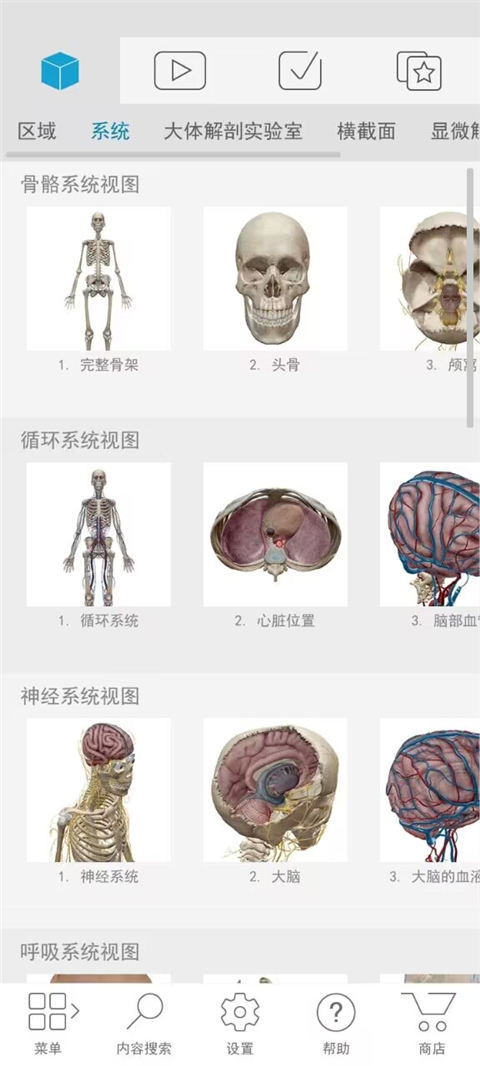 atlas人体解剖软件2024截图