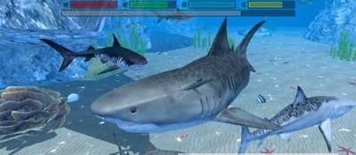 终极鲨鱼攻击 1