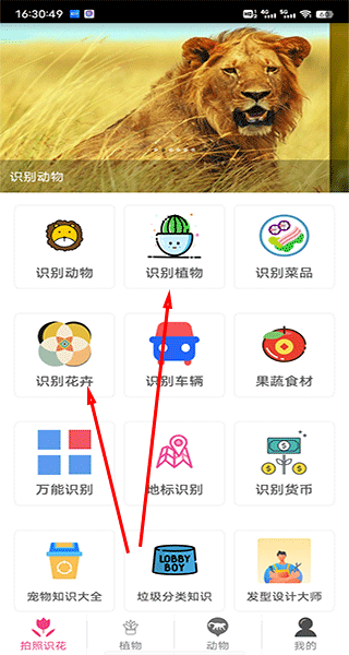 拍照识花神器软件 1